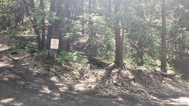 00 Upper River Ave, Dunsmuir, CA 96025 - photo 2