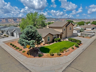908 Kaley St, Fruita, CO 81521 - photo 3