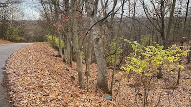 L27-29 Hillside, Wisconsin Dells, WI 53965 - photo 3