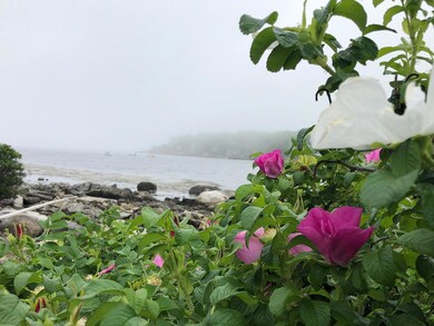 38 Long Cove Point Rd, Chamberlain, ME 04541 - photo 3