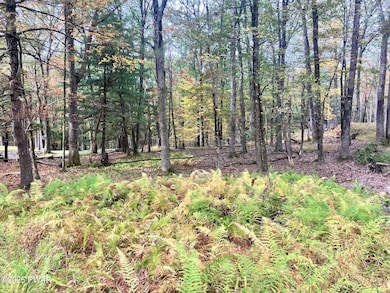 0 Butternut Rd, Dingman Township, PA 18337 - photo 3