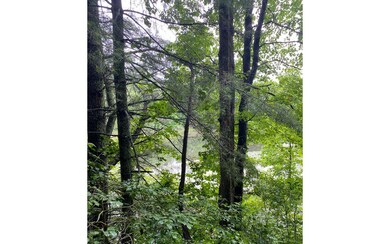 Additional View
