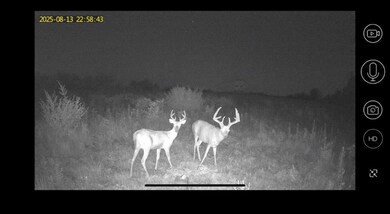 0 Cc Hwy unit HMS2588905, Gilman City, MO 64642 - photo 7