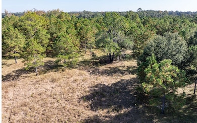 TBD7 129th Rd, Live Oak, FL 32060 - photo 4
