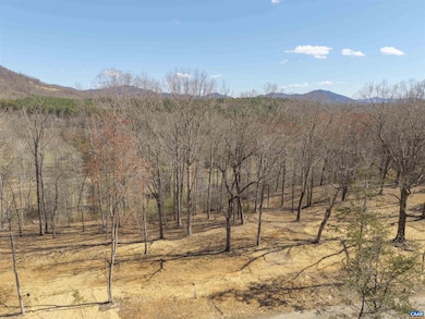 Lot 3 Rockfish Valley Hwy unit 3, Afton, VA 22920 - photo 4