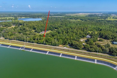 30647 Elam Rd, Wesley Chapel, FL 33545 - photo 3