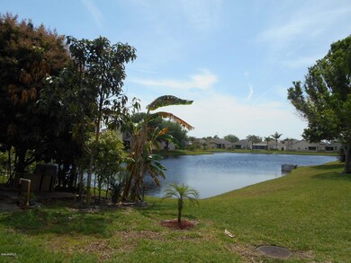 Backyard Lakeview