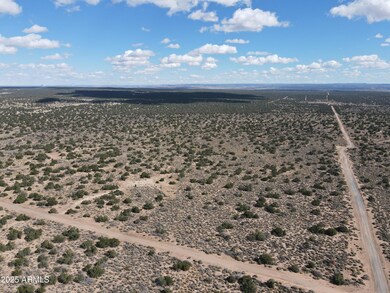 pic4.dji_fly_20231028_115752_233_1698519