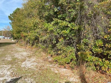 TBD Horsecreek Rd, Aynor, SC 29511 - photo 3