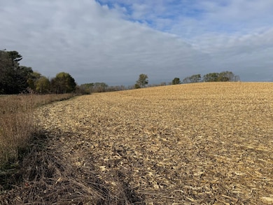 TBD 75th St SE, Rochester, MN 55904 - photo 5