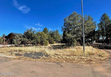 801 Bushman -- unit 1, Show Low, AZ 85901 - photo 5