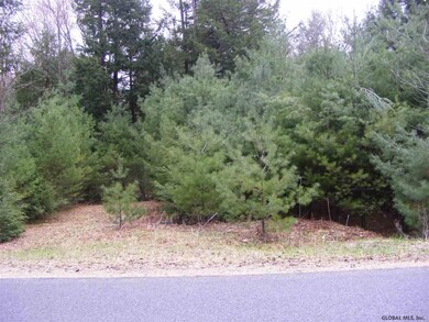 22 Horse Hill Rd, Hadley, NY 12835 - photo 4