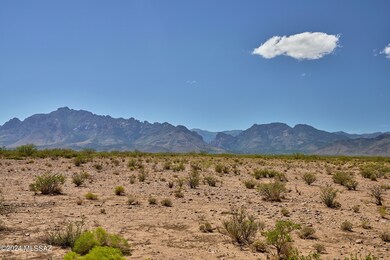 From NE Corner Across Property