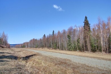 Wolf Trail Airstrip 1