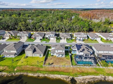 18196 Porfirio Place, Spring Hill, FL 34610 - photo 6