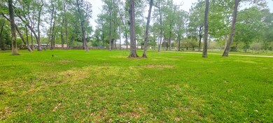 9173 Fm 1409, Dayton, TX 77535 - photo 3