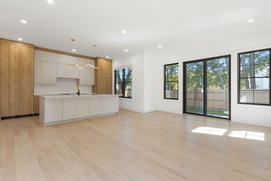 236 Chapel St unit 1, Newton, MA 02458 - photo 5