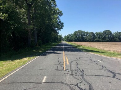 TBD Crenshaw Rd, Lumber Bridge, NC 28357 - photo 6