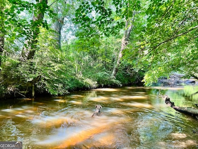 0 McCarty Dodd Rd unit 10646393, Colbert, GA 30628 - photo 6