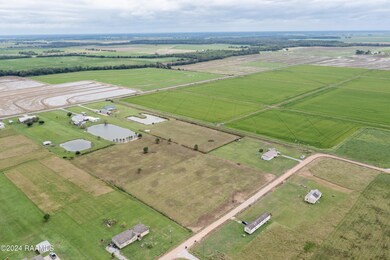 Mulberry LN Aerial
