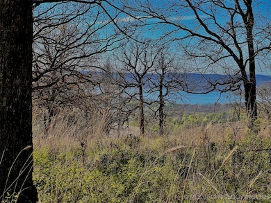 0 W Wilderness Rd unit 2548676, Cookson, OK 74427 - photo 3