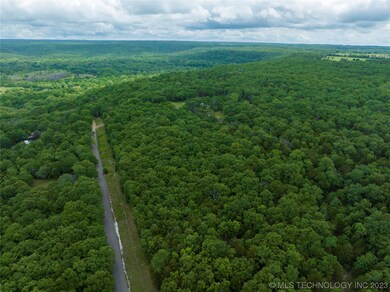 0 Pine Hill Rd, Redbird Smith, OK 74435 - photo 5