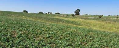 0 230th Ave, New Virginia, IA 50210 - photo 4