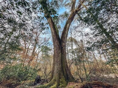 600 SW Santa fe Dr, Fort White, FL 32038 - photo 7