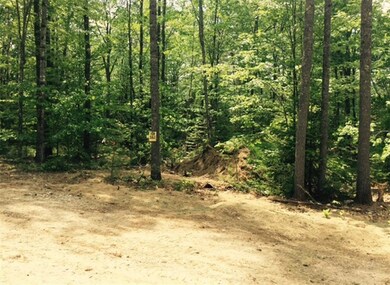 60A-06 Nature's Way, Bridgton, ME 04009 - photo 2