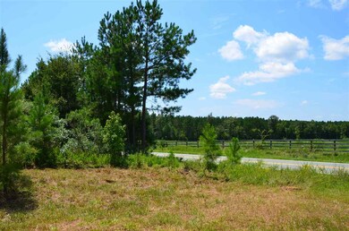 1355 Pete Roberson Rd, Pittsboro, NC 27312 - photo 3