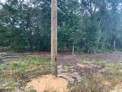 0250 Lenore Ave, Interlachen, FL 32148 - photo 6