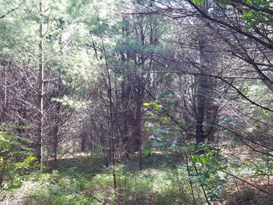 11 Harrison Rd, Naples, ME 04055 - photo 3