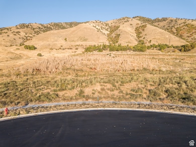 View of mountain background