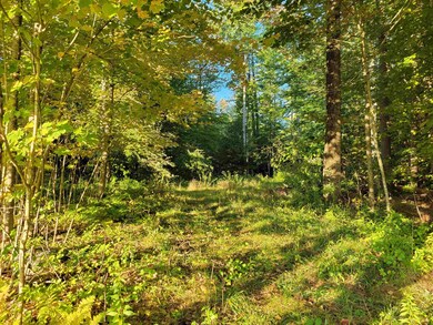 0 Tuftonboro Neck Rd unit 4905188, Tuftonboro, NH 03816 - photo 2