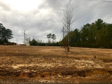 2 Acres on Old Sidney Rd