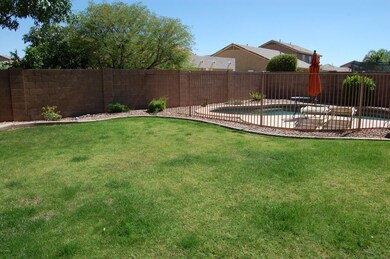 Grass backyard