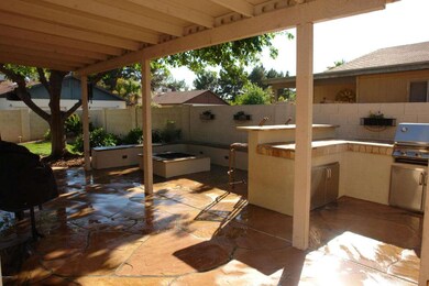Back Yard 3