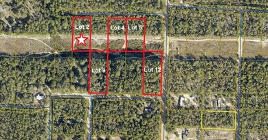 Lot 2 Camelot (3)