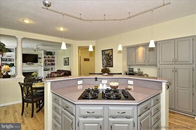 5302 Hever Way, Frederick, MD 21703 - photo 7