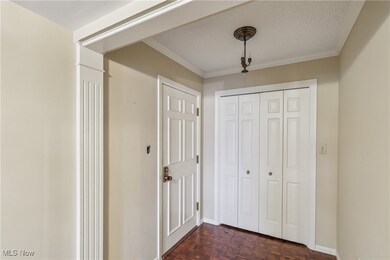 Entry to the condo. Foyer and coat closet