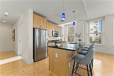 Lincoln Plaza II unit L312, Boston, MA 02111 - photo 3