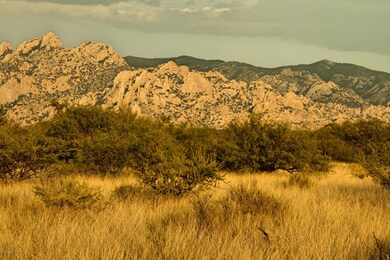_MG_2260_Fotor