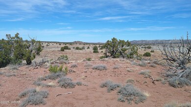 0 Windsor Valley Ranch unit 254962, Concho, AZ 85924 - photo 5