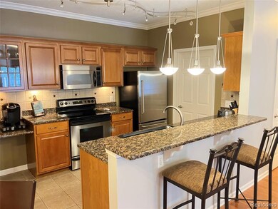 331 Scio Village Ct unit 281, Ann Arbor, MI 48103 - photo 4