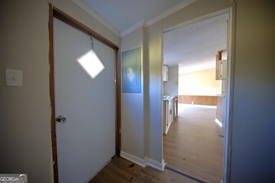 4702 Georgia 65, Pelham, GA 31779 - photo 7