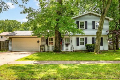 844 Maplewood Ave, Sheffield Lake, OH 44054 - photo 2