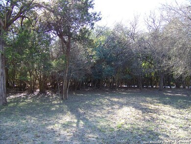 19410 Scenic Loop Rd, Grey Forest, TX - photo 3