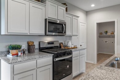 208 Running River Dr, Boyd, TX 76023 - photo 6