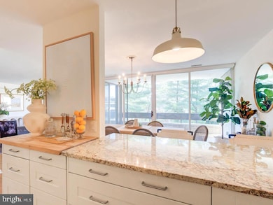 4936 Sentinel Dr unit 302, Bethesda, MD 20816 - photo 3