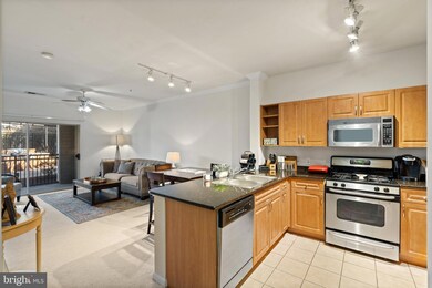 12900 Centre Park Cir unit 101, Herndon, VA 20171 - photo 3